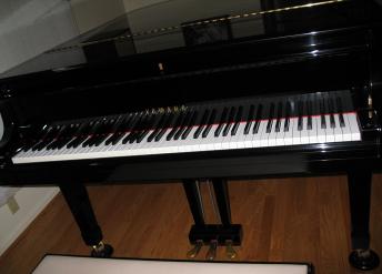 Photo of our grand piano